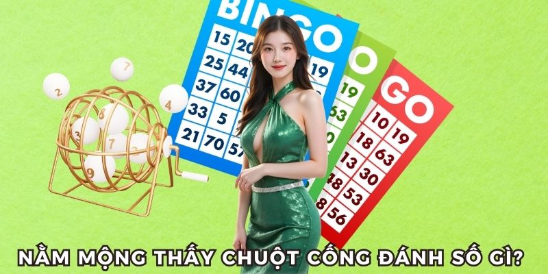 Nằm mơ thấy chuột cống đánh số gì?